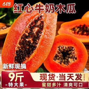 红心牛奶木瓜9斤整箱新鲜水果当季冰糖心青皮自然熟包邮现摘包邮