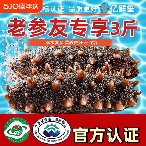 【鲜蒸海参即食】大连大连正宗辽刺参底播品质即食底播刺参30根装