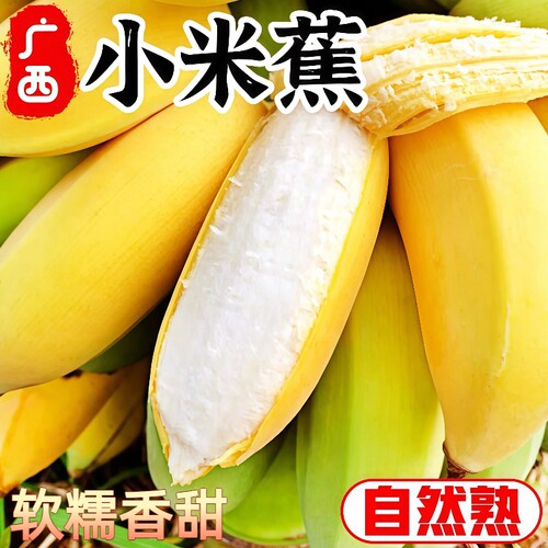 正宗广西小米蕉10斤当季新鲜水果整箱香蕉自然熟软糯香甜粉蕉包邮