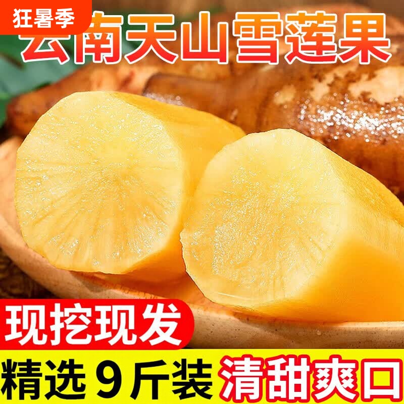 正宗云南天山雪莲果高原脆甜雪中仙果当季新鲜水果9斤包邮 - 实物图
