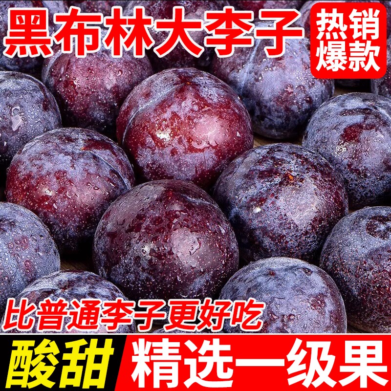 新鲜黑布林大李子现摘当季水果黑新鲜应季酸甜脆李黑宝石黄肉李子