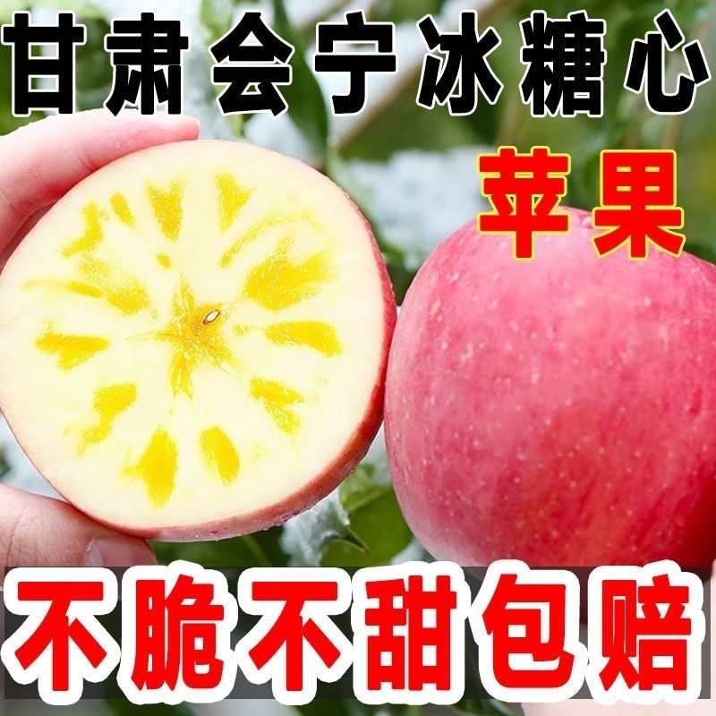 脆甜正宗甘肃会宁冰糖心苹果高原新鲜现摘红富士苹果好吃果园多汁