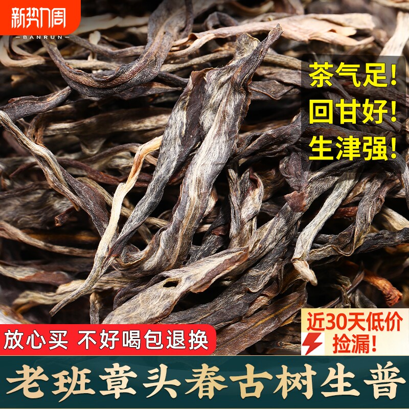 普洱茶生茶云南新茶春茶老班章古树茶散装茶生普洱口粮茶叶自己喝