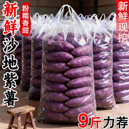 紫薯新鲜沙地紫薯紫罗兰地瓜番薯