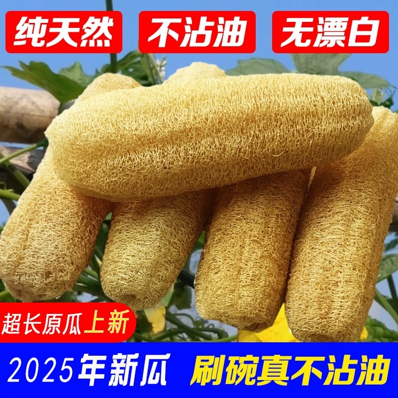 丝瓜络洗碗不沾油|超1000次加购