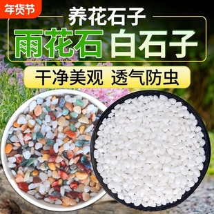 七彩石水培多肉铺面花盆垫底彩色石子白石天然养花园艺白鱼缸底砂