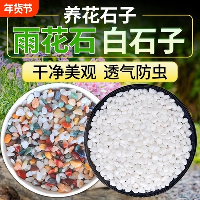 七彩石水培多肉铺面花盆垫底彩色石子白石天然养花园艺白鱼缸底砂