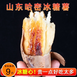 山东哈密冰糖心白薯地瓜新鲜现挖老品种山芋白心板栗红薯沙地番薯