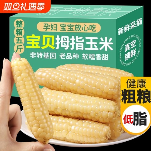 云南西双版纳拇指玉米宝宝手指儿童早餐玉米棒粗粮真空生鲜当季