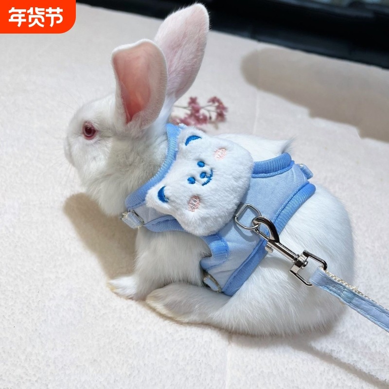遛兔绳小兔子外出牵引绳兔绳防挣脱可调节溜兔绳可爱舒适网红兔绳,宠物/宠物食品及用品,兔绳,淘宝优惠券,粉丝福利购,淘宝优惠卷