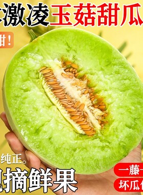 正宗山东玉菇甜瓜冰淇淋蜜瓜