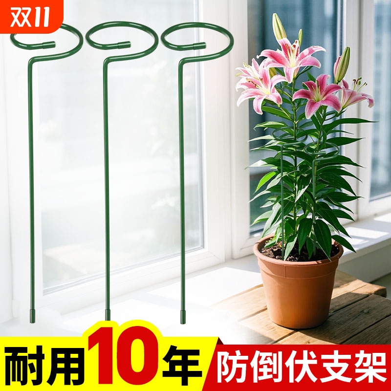 植物防倒伏支架园艺支撑杆