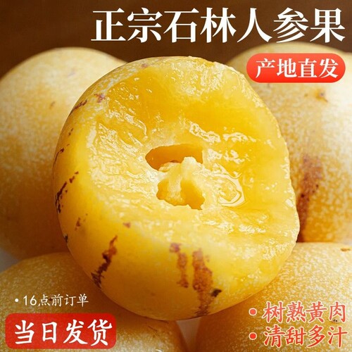 【云南石林人参果树上熟黄肉】