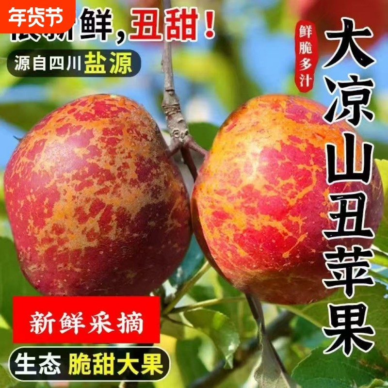 四川大凉山丑苹果正宗盐源糖心红富士香甜多汁应季新鲜水果年货节,水产肉类/新鲜蔬果/熟食,苹果,淘宝优惠券,粉丝福利购,淘宝优惠卷
