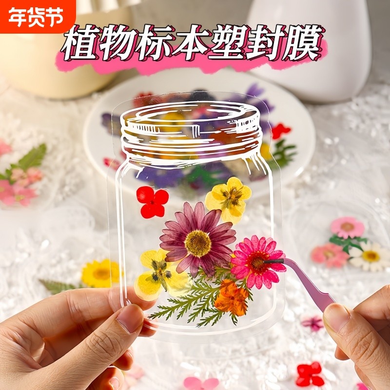 干花书签植物标本塑封膜秋天收集枫叶手工diy材料透明树叶粘贴,文具电教/文化用品/商务用品,书签,淘宝优惠券,粉丝福利购,淘宝优惠卷