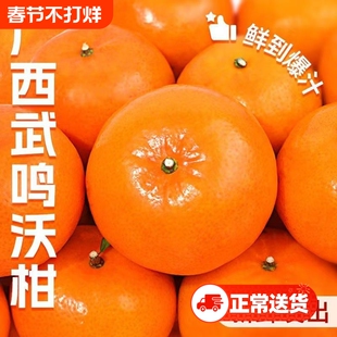 正宗广西武鸣沃柑薄皮柑橘子5斤新鲜桔子水果橘子当季砂糖蜜柑