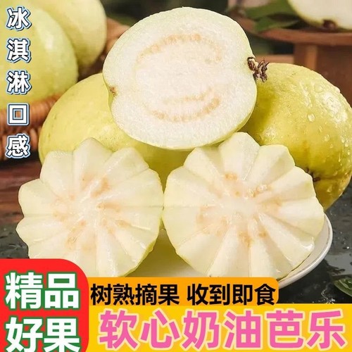 广东冰淇淋奶油芭乐软糯白心脆甜新鲜水果软心热带树熟口感红心