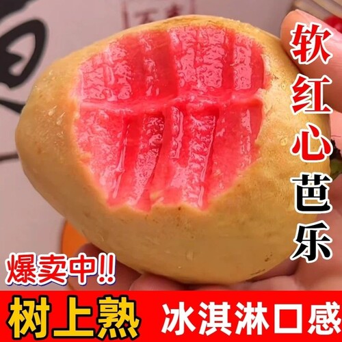 红心芭乐番石榴软糯软心