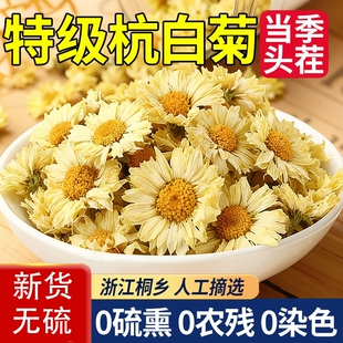 菊花茶杭白菊官方旗舰店正品特级500g花桐乡正宗杭菊杭州贡菊胎菊