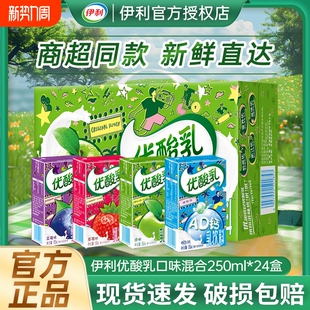 正品 24盒整箱原味草莓蓝莓AD钙含乳饮料混合健康 伊利优酸乳250ml