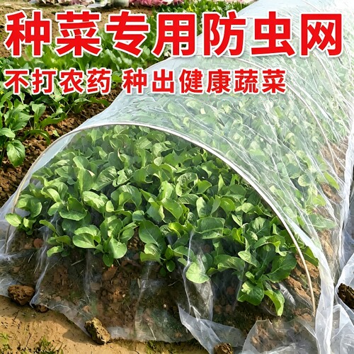 防虫网加厚纱网80目|万人加购