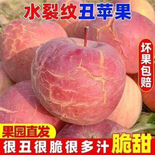 正宗运城丑苹果红富士产地冰糖新鲜当季水果当季脆孕妇整箱批发