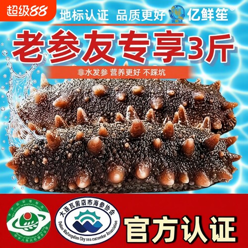 鲜蒸海参即食大连正宗辽刺参底播品质刺参30根装水产深海食用国标