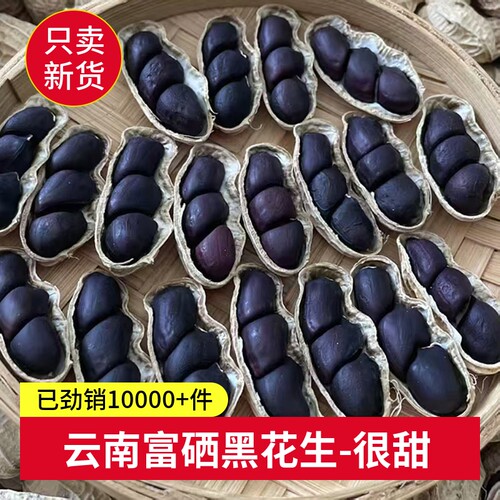云南黑花生富硒普洱2025新货晒干种带壳黑皮花生米新鲜原味好吃
