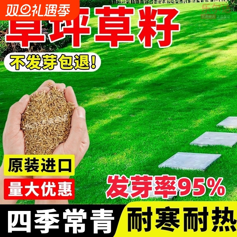 草坪草籽种子四季常青地毯草黑麦草高羊茅护坡绿化草皮种子草种籽