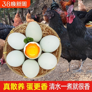 绿壳乌鸡蛋50枚大别山谷物农家土鸡蛋月子新鲜营养蛋现发农场喂养