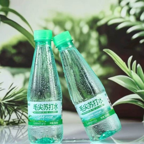 毛尖苏打水366ml*1瓶