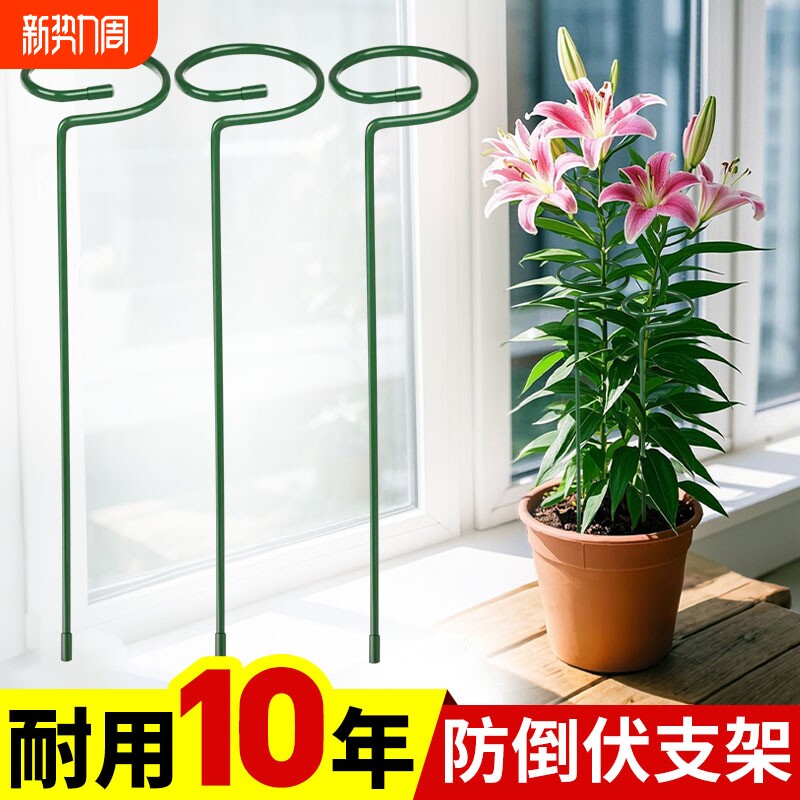 植物防倒伏支架铁艺绣球吊兰支撑杆园艺固定架爬藤花卉朱顶红花架