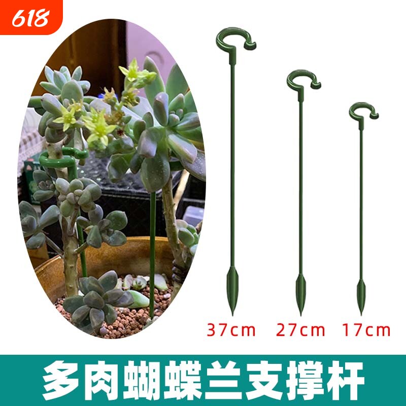 多肉支撑架吊兰多肉支撑杆固定蝴蝶兰花架支撑杆盆栽防倒伏造型