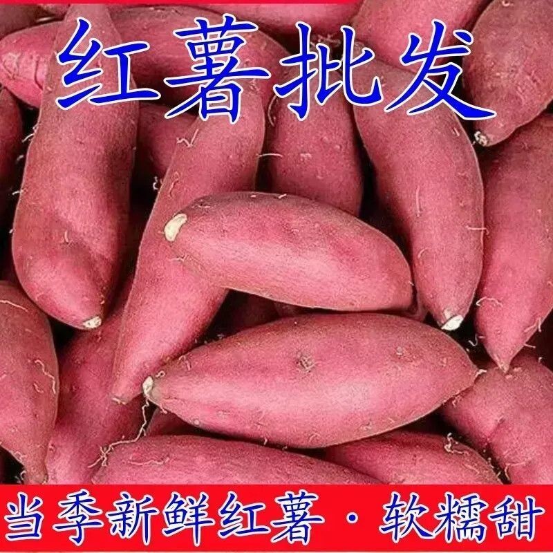现挖沙地蜜薯红薯新鲜黄心板栗香甜软糯农家自种地瓜山芋番薯批发