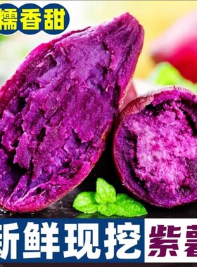 【当季新货】紫薯新鲜农家自种沙地小红薯番薯板栗地瓜蜜薯紫罗兰