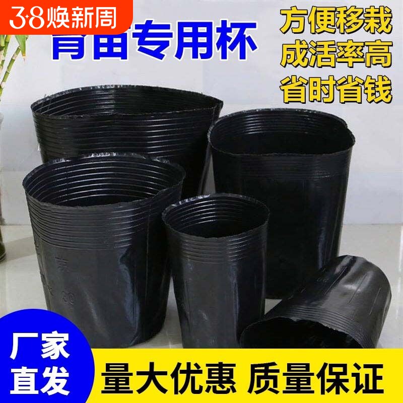 营养钵育苗袋一次性育苗杯花盆种植盆塑料园艺花卉种子苗木杯扦插