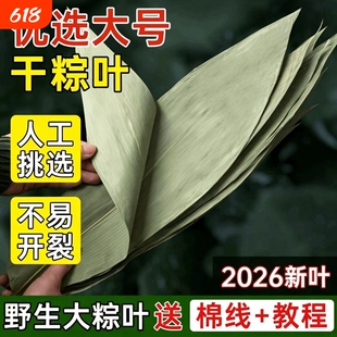 干粽叶大码粽子叶免邮新鲜麻竹箬叶商家用包粽子材料端午批发送绳