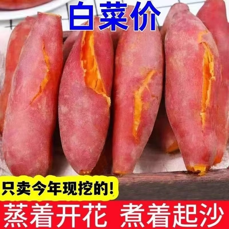 新鲜蜜薯9斤装|超2.9万次加购