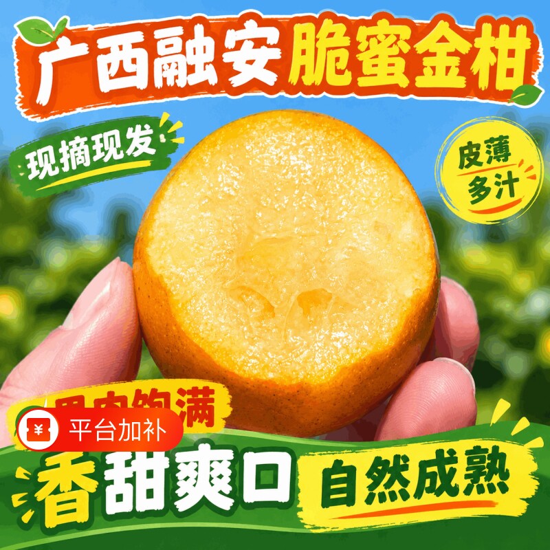 正宗广西融安脆蜜金柑第三代金桔当季新鲜纯甜现摘整箱孕妇水果