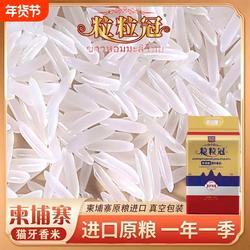 进口柬埔寨香米大米长粒香米猫牙米当季新米10斤真空包装梯田原粮
