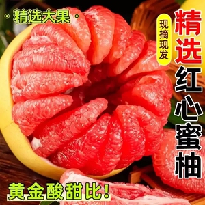 福建正宗红心蜜柚4.5斤