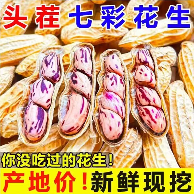 七彩花生米云南特产带壳晒干2026新货花生种粒生五彩健康新鲜特色