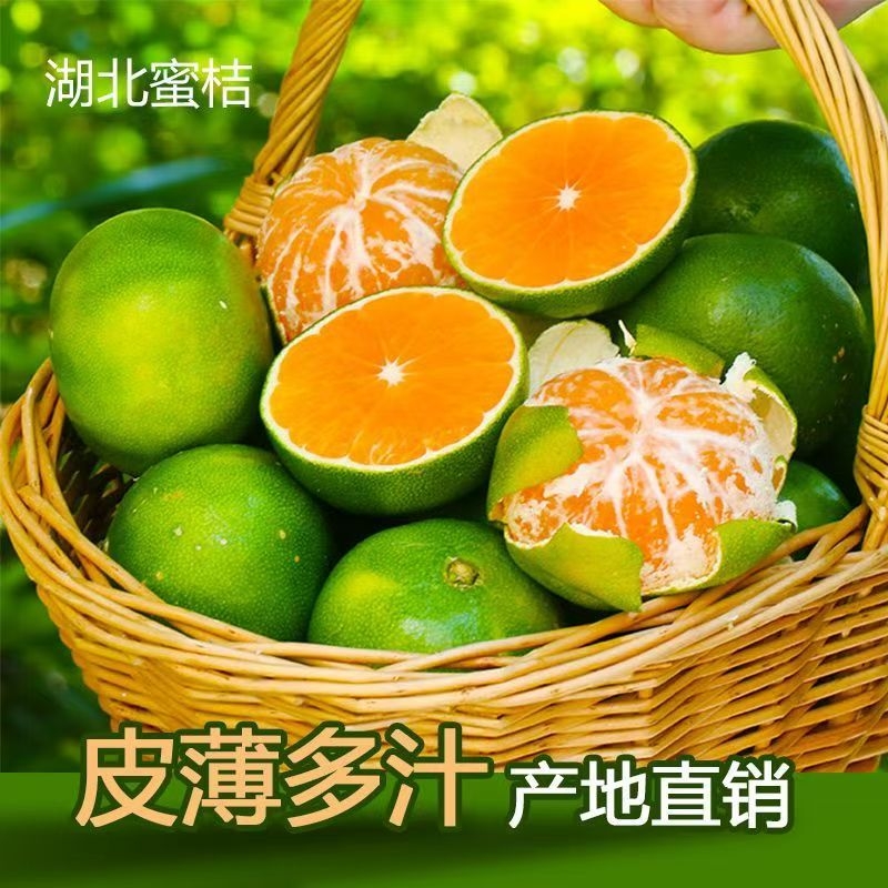 青皮蜜桔薄皮多汁湖北产地5斤
