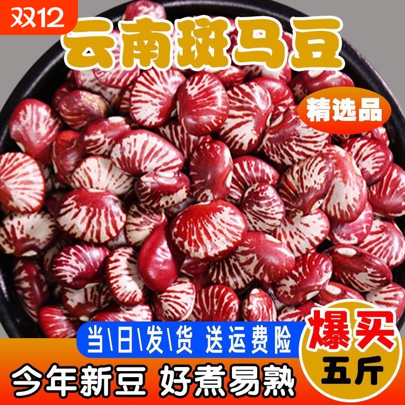 云南斑马豆 新货农家自产大圣豆 荷包豆 饭豆煲汤煮粥 斑马豆