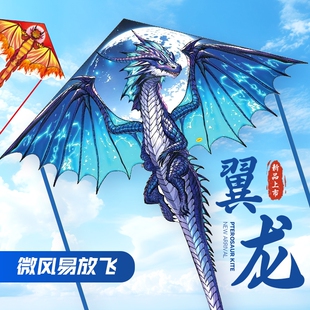 龙形风筝翼龙成人专用2025新款儿童三角风筝微风易飞潍坊高端风筝