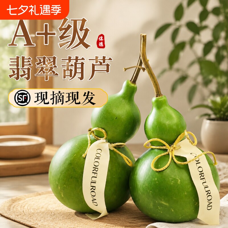 绿色新鲜葫芦佛手柑现摘青皮翡翠葫芦家用客厅禅意中式绿植摆件