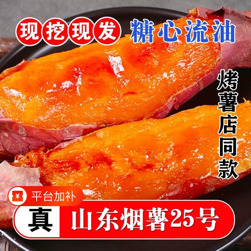 烟薯25号沙地蜜薯糖心红薯小新鲜红皮心烟台农科院烤山芋专用番薯