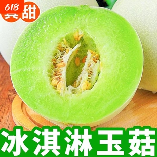 正宗冰淇淋玉菇甜瓜新鲜水果当季香甜蜜瓜密瓜现摘现发产地直发