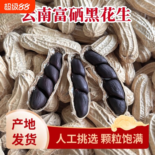云南特产老品种黑花生带壳富硒黑皮花生新货散装