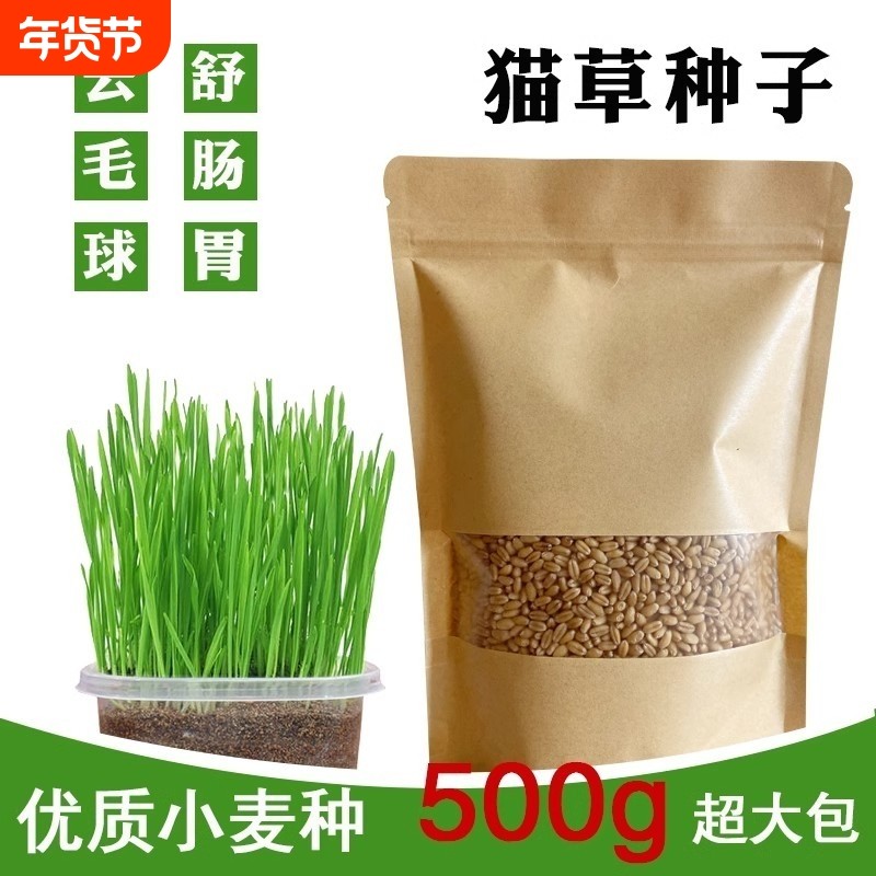 猫草种子水培种植猫咪吃的化毛去毛球懒人猫麦草籽麦芽发芽食用